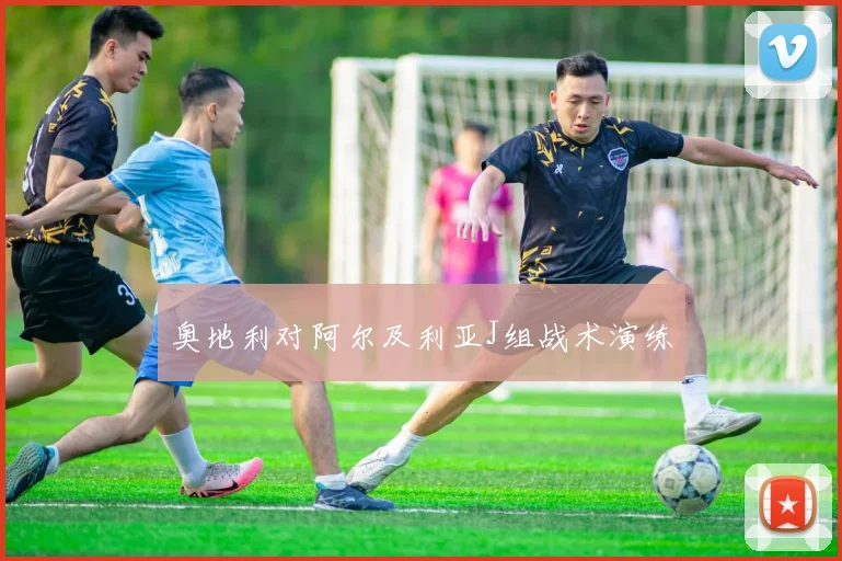 奥地利对阿尔及利亚J组战术演练