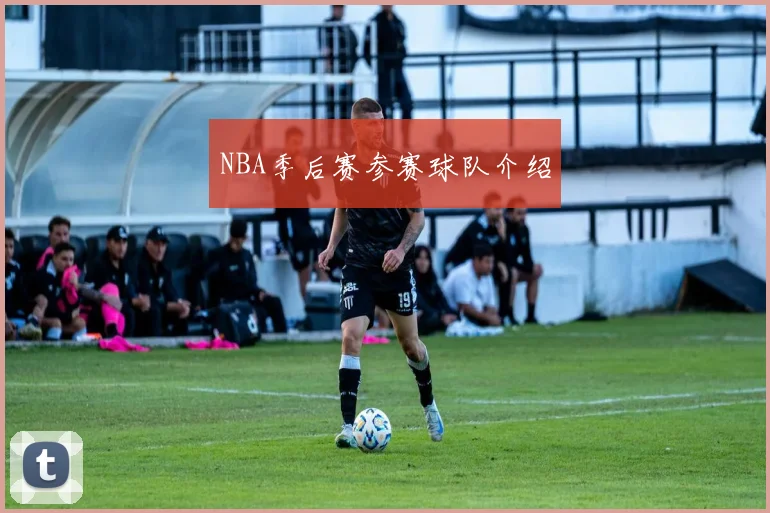 NBA季后赛参赛球队介绍