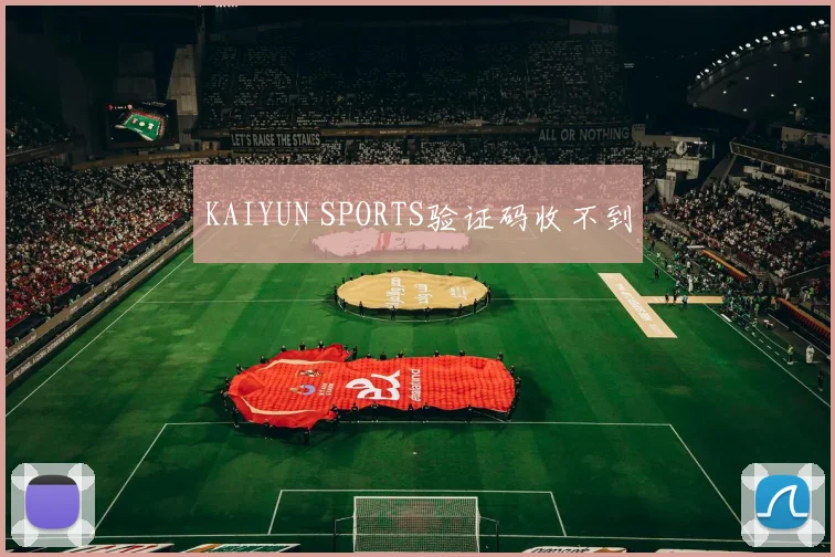 KAIYUN SPORTS验证码收不到