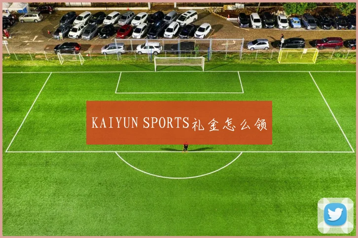 KAIYUN SPORTS礼金怎么领
