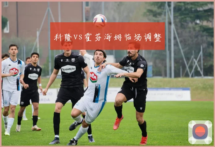 科隆vs霍芬海姆临场调整
