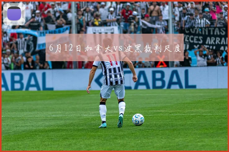 6月12日加拿大vs波黑裁判尺度