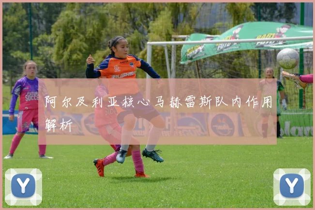 阿尔及利亚核心马赫雷斯队内作用解析
