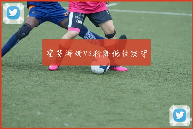 霍芬海姆vs科隆低位防守