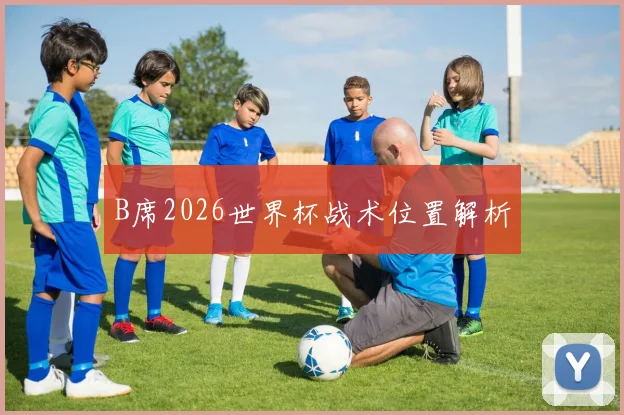 B席2026世界杯战术位置解析